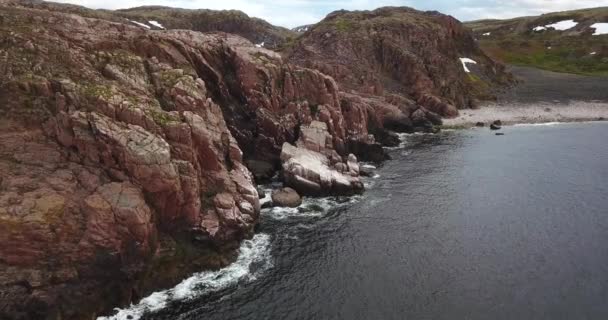 Stormo di gabbiani, Veduta aerea della costa del Mare di Barents — Video Stock