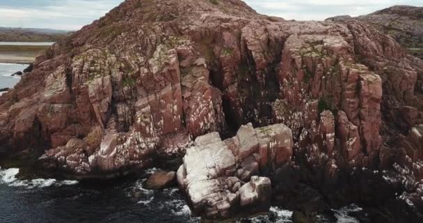 Stormo di gabbiani, Veduta aerea della costa del Mare di Barents — Video Stock