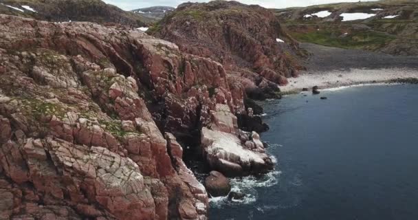 Flock av måsar, Flygfoto av Barents kust — Stockvideo