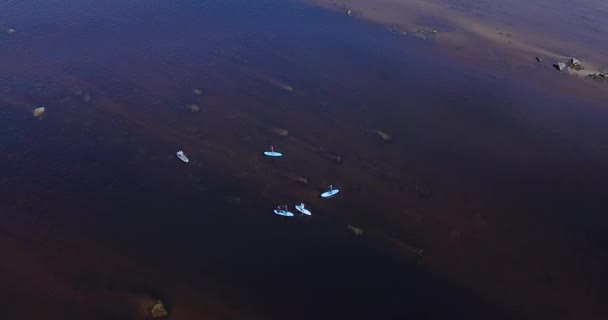 Vista aérea de surfistas de SUP en el río Teriberka — Vídeo de stock
