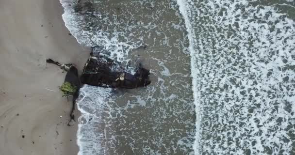 Luftaufnahme eines alten Schiffes am Strand — Stockvideo