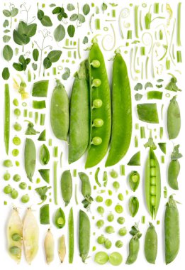 Ped Pods Koleksiyonu Özet