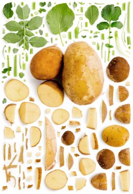 Patates Koleksiyonu Özet