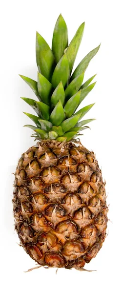 Ananas geïsoleerd — Stockfoto