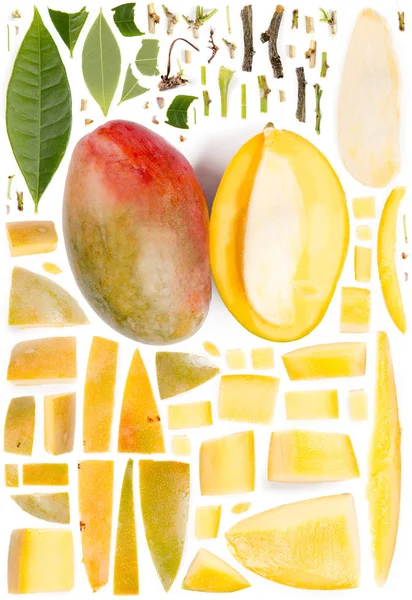 Mango Collectie Kort — Stockfoto