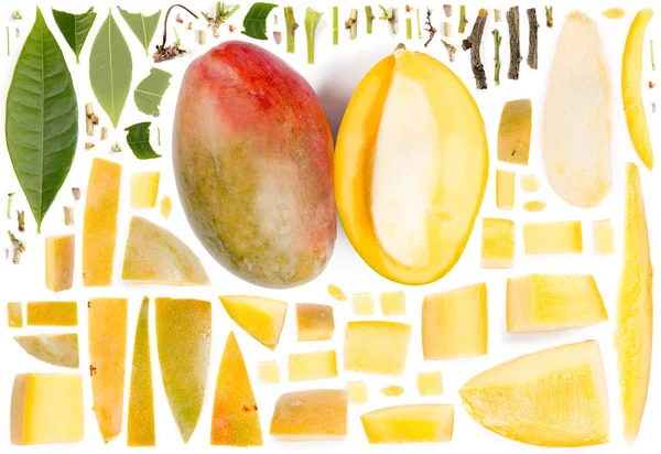 Mango Collection Sammanfattning — Stockfoto