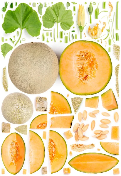 Cantaloupe meloen collectie abstract — Stockfoto