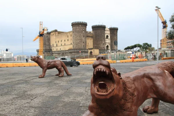 Napoli, İtalya - 29 Haziran 2020: Geçen Kasım 'dan bu yana Piazza Municipio' da bulunan yüz kurt Floransa 'ya yerleşmek üzere Napoli' den ayrılıyor. Çinli sanatçı Liu Ruowang tarafından yapıldı ve her biri 300 kilogram ağırlığında. .