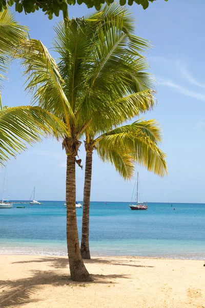 Antigua Isole Dei Caraibi Maggio 2019 English Harbour View Galeon — Foto Stock