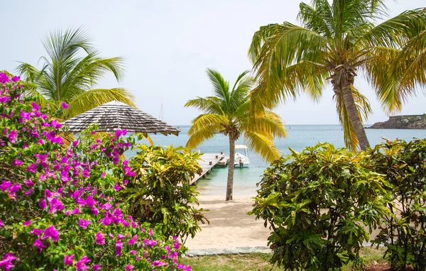 Antigua Caribbean Islands May 2019 English Harbour View Galeon Beach — Stock Photo, Image