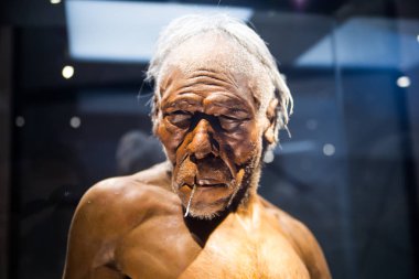 Londra, İngiltere - 11 Mart 2018: Neandertal Homo yetişkin erkek, Belçika'daki Spy'da bulunan 40000 yıllık kalıntılara dayanmaktadır. Ulusal tarih müzesi