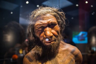 Londra, İngiltere - 11 Mart 2018: Neandertal Homo yetişkin erkek, Belçika'daki Spy'da bulunan 40000 yıllık kalıntılara dayanmaktadır. Ulusal tarih müzesi