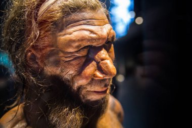 Londra, İngiltere - 11 Mart 2018: Neandertal Homo yetişkin erkek, Belçika'daki Spy'da bulunan 40000 yıllık kalıntılara dayanmaktadır. Ulusal tarih müzesi