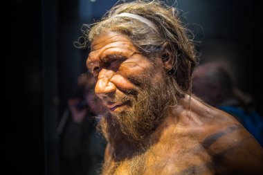 Londra, İngiltere - 11 Mart 2018: Neandertal Homo yetişkin erkek, Belçika'daki Spy'da bulunan 40000 yıllık kalıntılara dayanmaktadır. Ulusal tarih müzesi