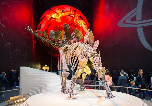 London March 2018 Dinosaurs Display National History Museum Lots People — Stock Photo, Image