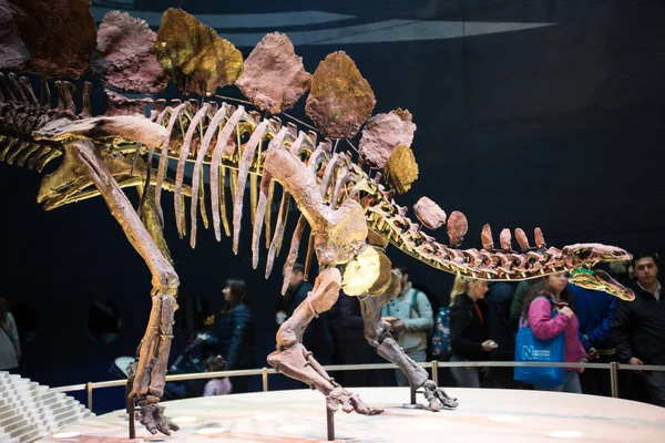 London March 2018 Dinosaurs Display National History Museum Lots People — Stock Photo, Image