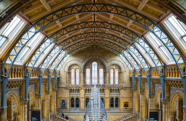 London England National Historic Museum Vista Esqueleto Ballena Sala Principal — Foto de Stock