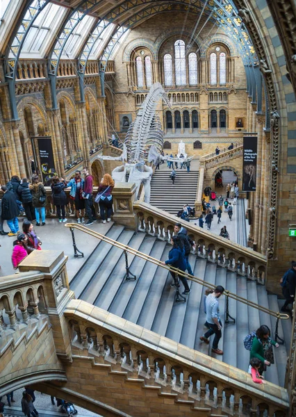 Лондон Великобританія Березня 2018 Національний Історичний Музей Одним Найулюбленіших Музей — стокове фото