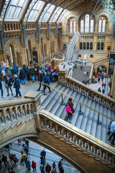 Londýn Velká Británie Březen 2018 Národní Historické Muzeum Jedním Nejoblíbenějších — Stock fotografie