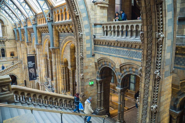 Londýn Velká Británie Březen 2018 Národní Historické Muzeum Jedním Nejoblíbenějších — Stock fotografie