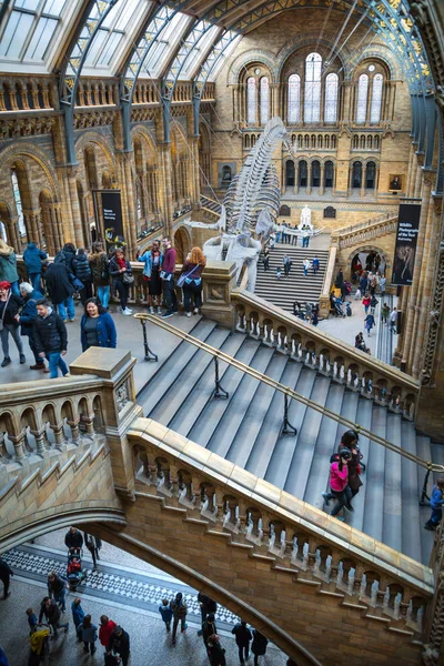 Londýn Velká Británie Březen 2018 Národní Historické Muzeum Jedním Nejoblíbenějších — Stock fotografie