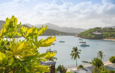 Antigua, Karayip adaları, yatlarla İngiliz Limanı manzarası