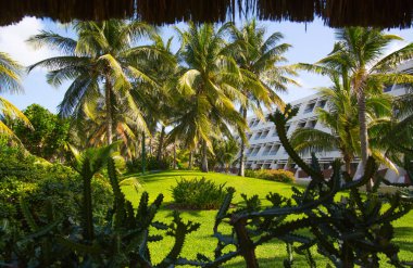 Meksika, Cancun - 15 Şubat 2018: Meksika'nın güzel doğası. Cancun Grand Pyramid eğlence kompleksi Palmiye parkı