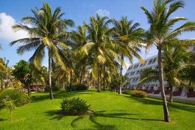 Meksika, Cancun - 15 Şubat 2018: Meksika'nın güzel doğası. Cancun Grand Pyramid eğlence kompleksi Palmiye parkı