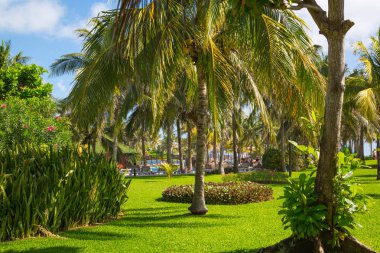 Meksika, Cancun - 15 Şubat 2018: Meksika'nın güzel doğası. Cancun Grand Pyramid eğlence kompleksi Palmiye parkı