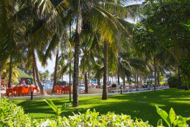 Meksika, Cancun - 15 Şubat 2018: Meksika'nın güzel doğası. Cancun Grand Pyramid eğlence kompleksi Palmiye parkı