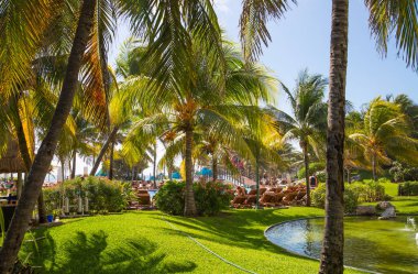 Meksika, Cancun - 15 Şubat 2018: Meksika'nın güzel doğası. Cancun Grand Pyramid eğlence kompleksi Palmiye parkı