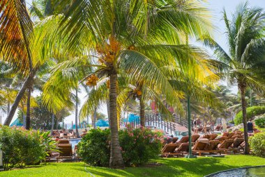 Meksika, Cancun - 15 Şubat 2018: Meksika'nın güzel doğası. Cancun Grand Pyramid eğlence kompleksi Palmiye parkı