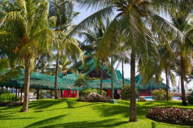 Meksika, Cancun - 15 Şubat 2018: Meksika'nın güzel doğası. Cancun Grand Pyramid eğlence kompleksi Palmiye parkı