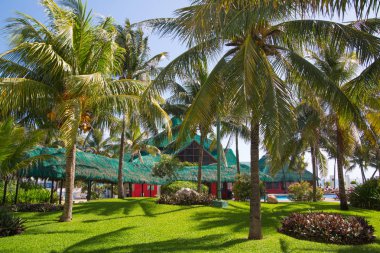 Meksika, Cancun - 15 Şubat 2018: Meksika'nın güzel doğası. Cancun Grand Pyramid eğlence kompleksi Palmiye parkı