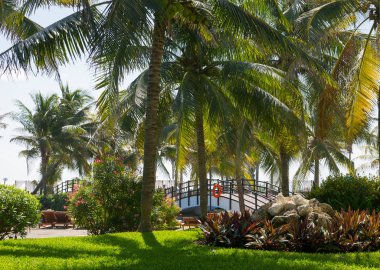 Meksika, Cancun - 15 Şubat 2018: Meksika'nın güzel doğası. Cancun Grand Pyramid eğlence kompleksi Palmiye parkı