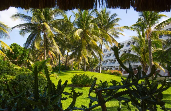 Meksika, Cancun - 15 Şubat 2018: Meksika'nın güzel doğası. Cancun Grand Pyramid eğlence kompleksi Palmiye parkı