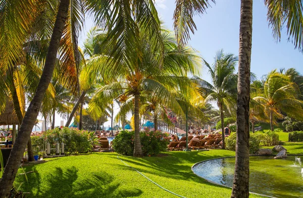 Meksika, Cancun - 15 Şubat 2018: Meksika'nın güzel doğası. Cancun Grand Pyramid eğlence kompleksi Palmiye parkı