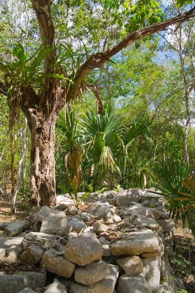 Mexico Yucatan Лютого 2018 Chichen Itz Yucatn Первосвященик Піраміда Пам — стокове фото