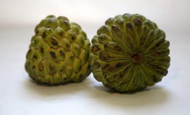 Salvador, Bahia / Brezilya - 28 Mayıs 2020: Bilimsel adı Annona Squamosa olan çam kozalağı veya meyve kozalağı. 