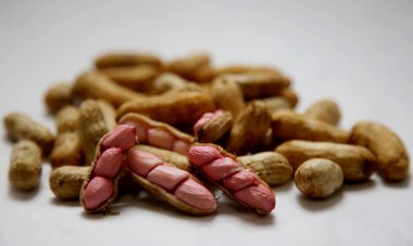 Salvador, Bahia / Brezilya - 28 Mayıs 2020: Salvador şehrinde fıstıklar görülür. 