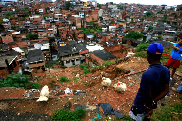 Salvador Bahia Brasil Janeiro 2016 Área Deslizamento Encosta Comunidade Bairro — Fotografia de Stock