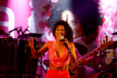 salvador, bahia / brazil - outobro 1, 2014: the singer Ana Mametto is vists during a performance at Parque Costa Azul in the city of Salvador. 