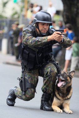 salvador, bahia / brazil - september 7, 2014: dog follows orders from the army soldier during a military parade to commemorate the day of Brazil's independence. The parade takes place in the city of Salvador. 