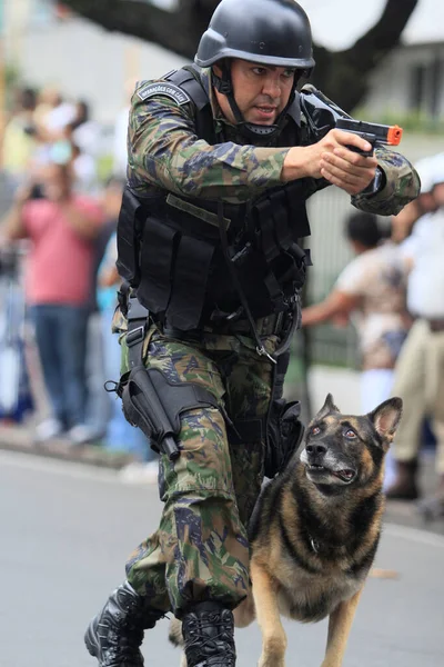 Salvador Bahia Brazil September 2014 Dog Follows Orders Army Soldier — стокове фото