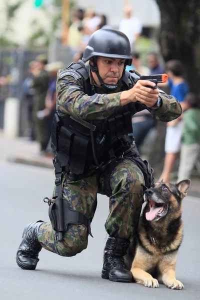 Salvador Bahia Brazil September 2014 Dog Follows Orders Army Soldier — Stockfoto