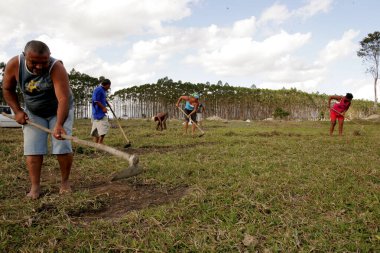 itamaraju, bahia / brazil - november 18, 2010: people are seen cleaning land for the construction of popular houses in the city of Eunapolis.