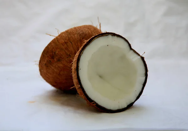 Salvador Bahia Brasil Junho 2020 Frutos Secos Coco São Vistos — Fotografia de Stock