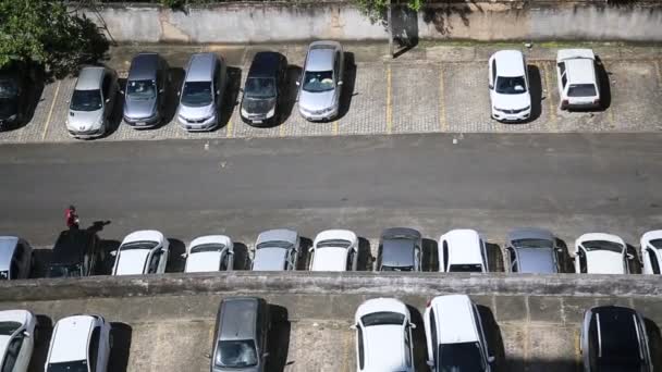 Salvador Bahia Brasil Junho 2020 Pessoa Vista Fazendo Atividade Física — Vídeo de Stock