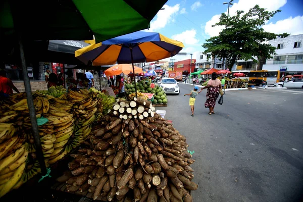 Salvador Bahia Brazil Maj 2019 Försäljning Frukt Gatuhandel Stadsdelen Cajazeiras — Stockfoto
