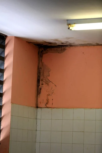 Salvador Bahia Brazil February 2016 Infiltration Mold Wall See Residence — стокове фото